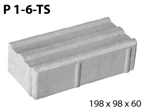 P 1-6-TS