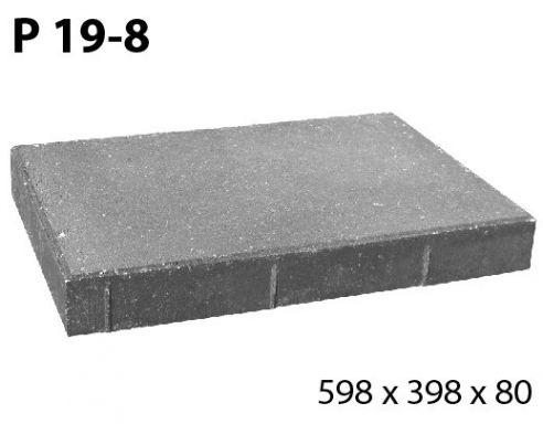 P 19-8